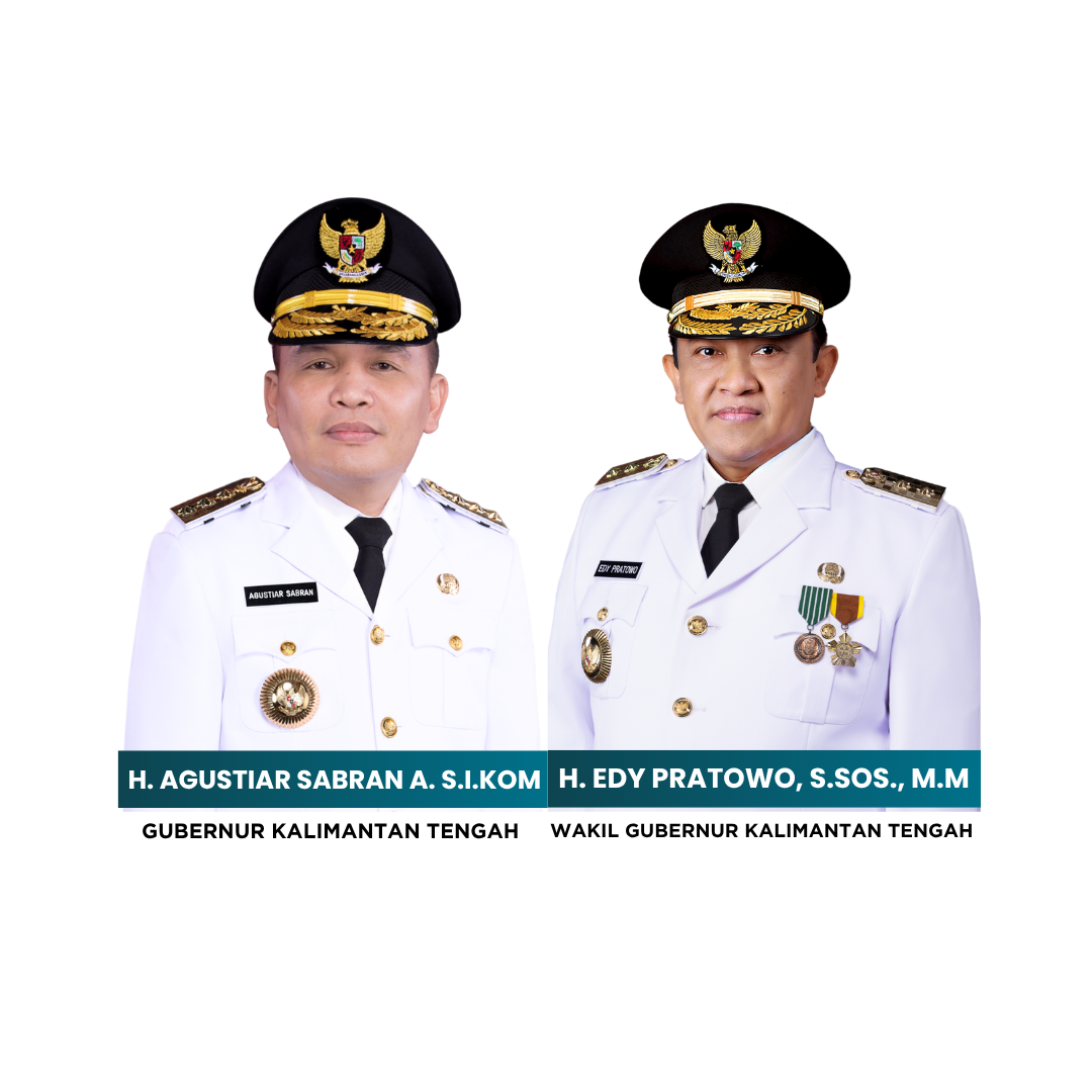 gubwagub